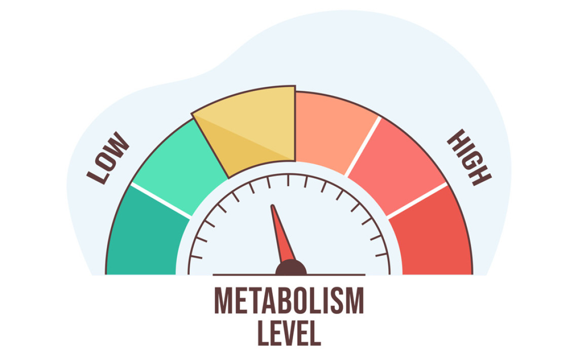 Metabolizma Hızlandırma Yolları Nelerdir?