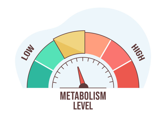 Metabolizma Hızlandırma Yolları Nelerdir?